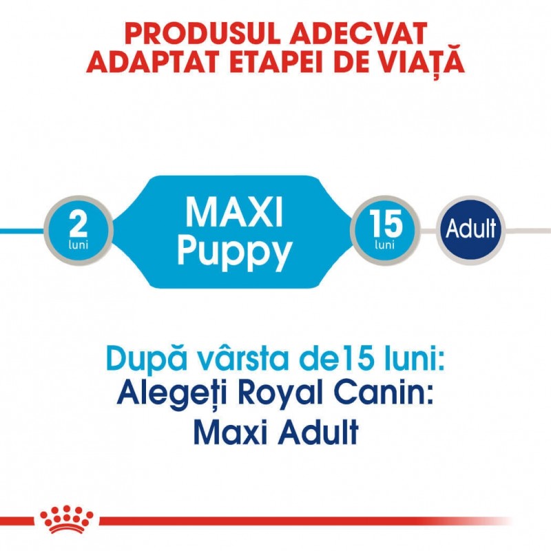 Royal Canin Maxi Puppy Umeda- 10x140 g