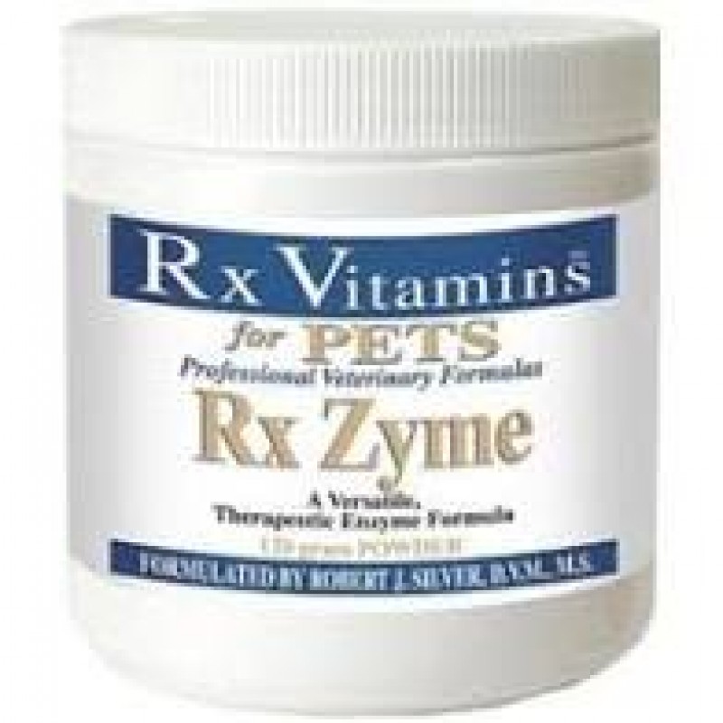 RX Vitamins Zyme - Supliment pentru sustinerea functiei digestive Pulbere 120 g