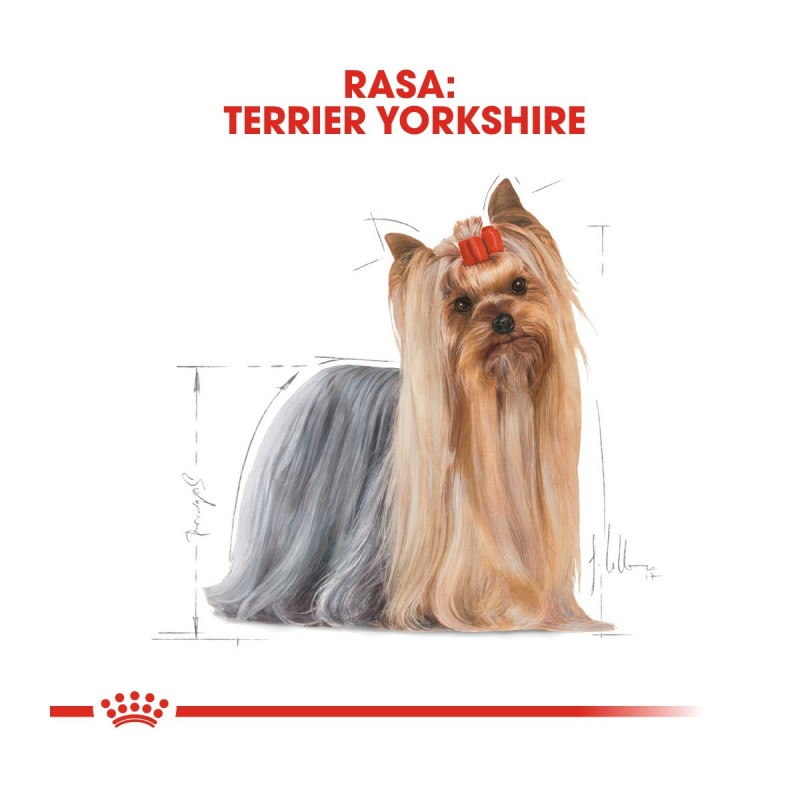 Royal Canin Yorkshire Terrier Umeda-12x85 g